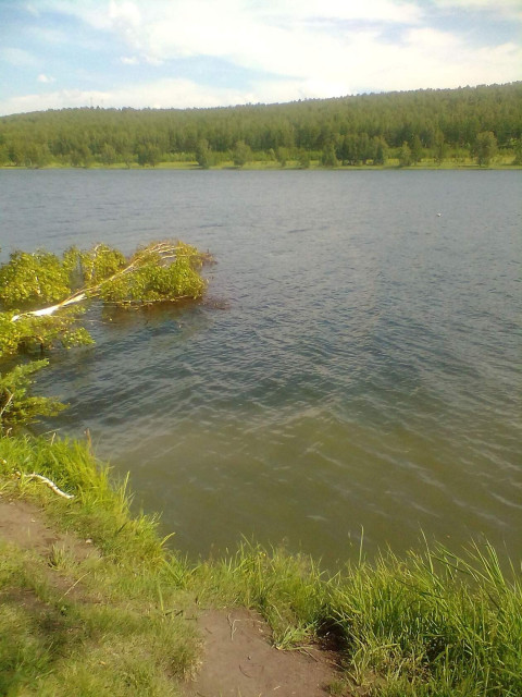 Алексей, Россия, Новокузнецк. Фото на сайте ГдеПапа.Ру