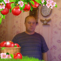 Николай Гребнев, Россия, г. Петушки (Петушинский район), 53 года