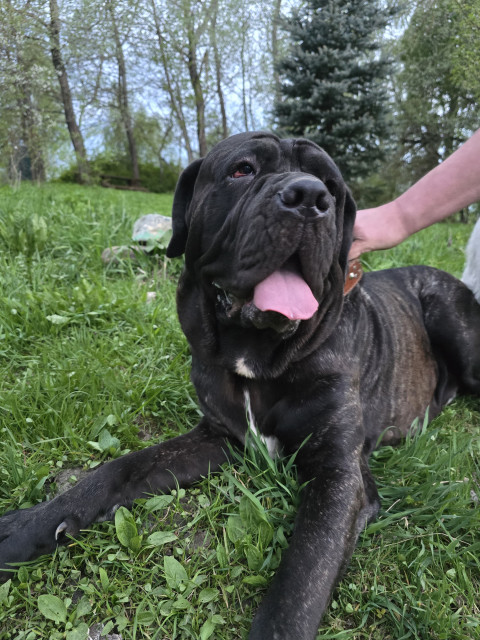 Юрий, Россия, Бежецк. Фото на сайте ГдеПапа.Ру