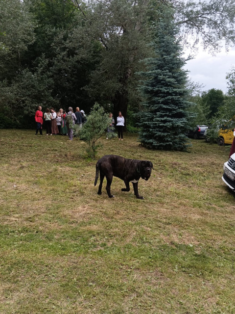Юрий, Россия, Бежецк. Фото на сайте ГдеПапа.Ру