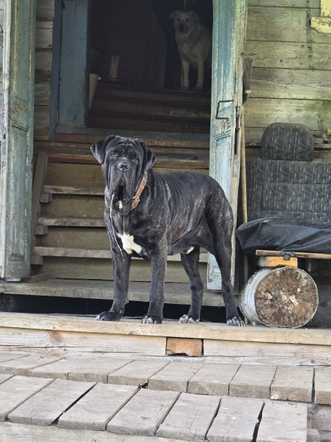 Юрий, Россия, Бежецк. Фото на сайте ГдеПапа.Ру