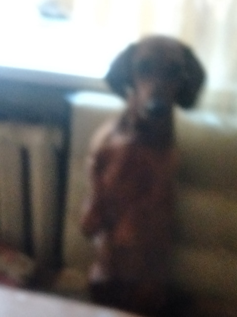 Андрей, Россия, Екатеринбург. Фото на сайте ГдеПапа.Ру