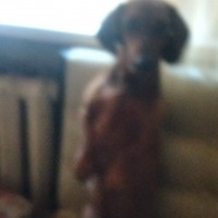 Андрей, Россия, Екатеринбург, 44 года