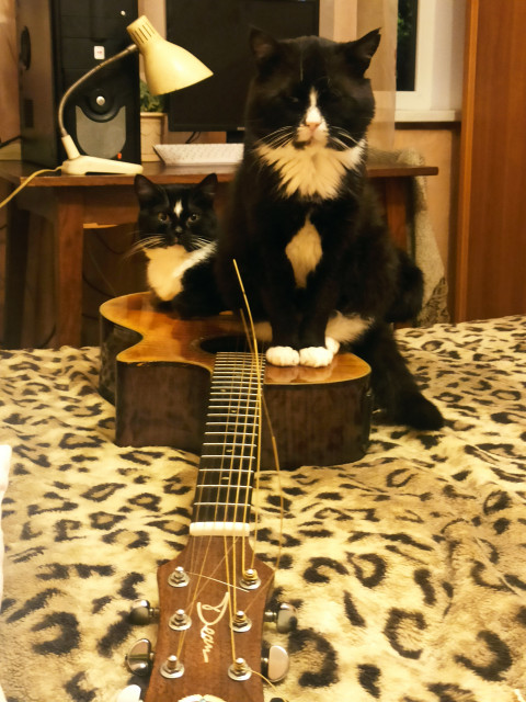 Андрей, Россия, Кингисепп. Фото на сайте ГдеПапа.Ру