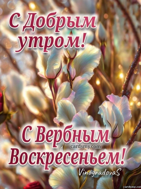 Анатолий, Россия, Москва. Фото на сайте ГдеПапа.Ру