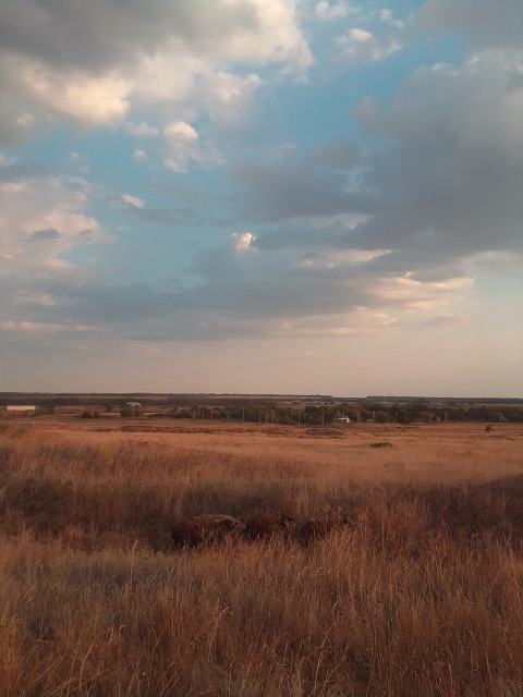 Павел, Россия, Константиновск. Фото на сайте ГдеПапа.Ру