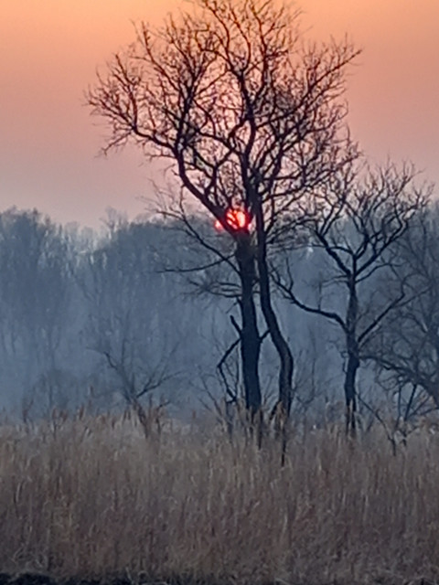 Андрей, Россия, Дальнереченск. Фото на сайте ГдеПапа.Ру