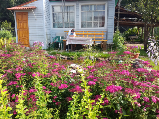 Владимир, Россия, Владимир. Фото на сайте ГдеПапа.Ру