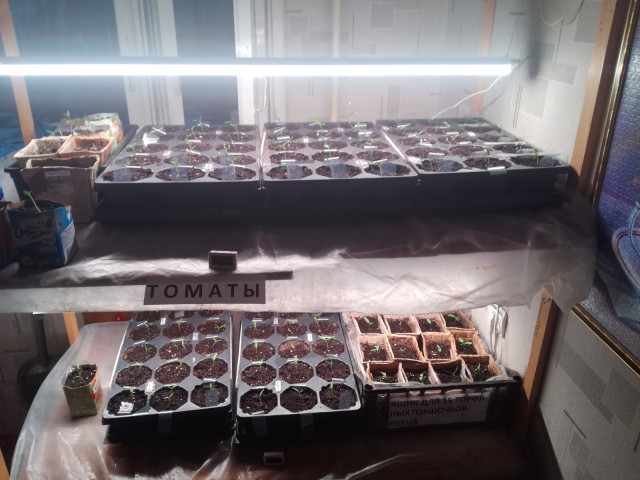 Владимир, Россия, Владимир. Фото на сайте ГдеПапа.Ру