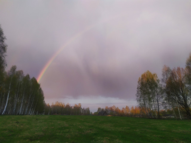 Матвей, Россия, Киров. Фото на сайте ГдеПапа.Ру