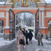 Диана, 39, Россия, Санкт-Петербург