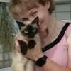 Наталия, 48, Россия, Новочебоксарск