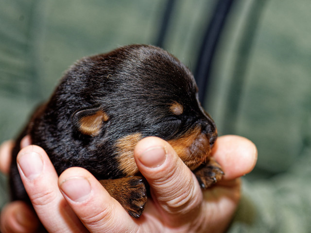 Alex, Россия, Тула, 42 года. Ищу для общения симпатичную девушку, с позитивным отношением к жизни. :)