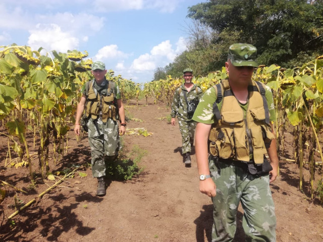 Владимир, Россия, Таганрог. Фото на сайте ГдеПапа.Ру