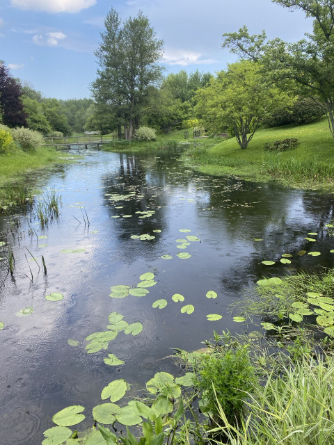 victor, Москва, м. Новослободская. Фото на сайте ГдеПапа.Ру
