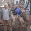 Андрей, Россия, Красноярск, 63 года