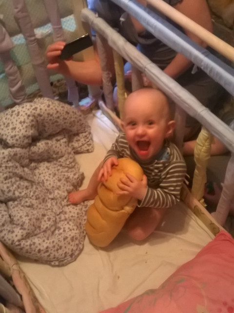 Магнит, Россия, Петродворец. Фото на сайте ГдеПапа.Ру