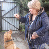 Людмила, 62, Россия, Москва