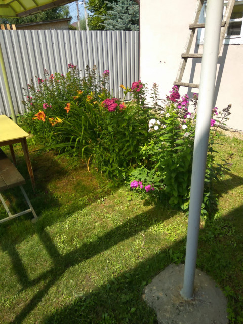 Андрей, Москва, м. Кантемировская. Фото на сайте ГдеПапа.Ру