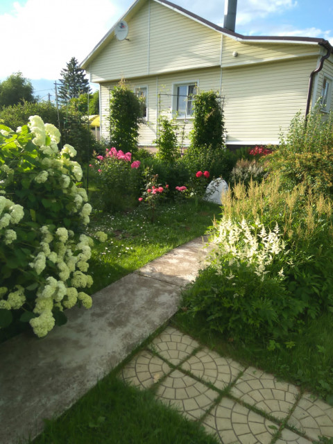Андрей, Москва, м. Кантемировская. Фото на сайте ГдеПапа.Ру