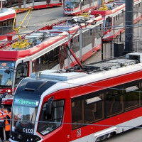 Михаил Сергеев, Россия, Санкт-Петербург, 28 лет