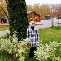 N, Москва, м. Сходненская, 55 лет