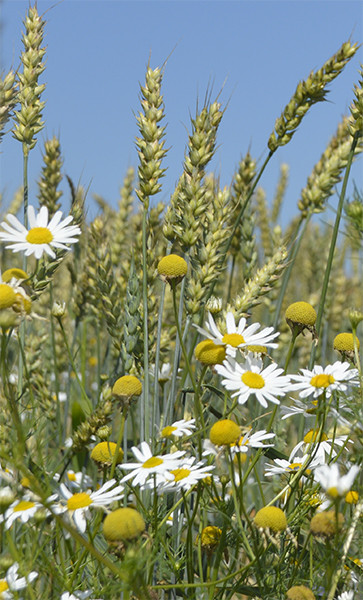Катерина, Беларусь, Минск. Фото на сайте ГдеПапа.Ру