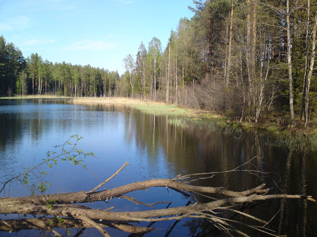 Катерина, Беларусь, Минск. Фото на сайте ГдеПапа.Ру