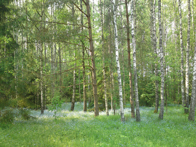 Катерина, Беларусь, Минск. Фото на сайте ГдеПапа.Ру