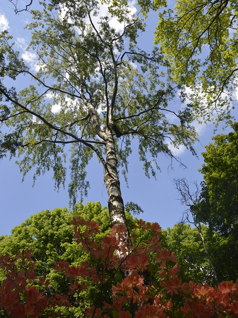 Катерина, Беларусь, Минск. Фото на сайте ГдеПапа.Ру