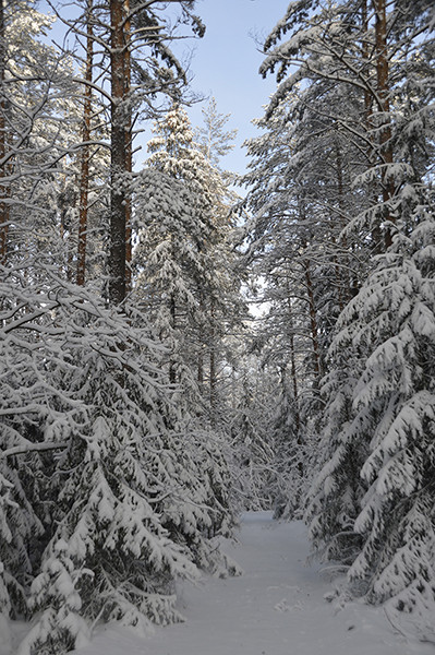 Катерина, Беларусь, Минск. Фото на сайте ГдеПапа.Ру