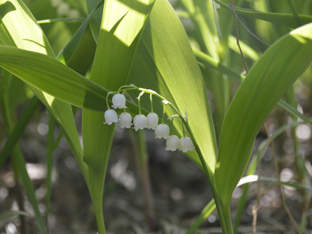 Катерина, Беларусь, Минск. Фото на сайте ГдеПапа.Ру