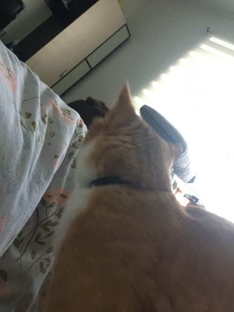 Юлия, Санкт-Петербург, м. Балтийская. Фото на сайте ГдеПапа.Ру