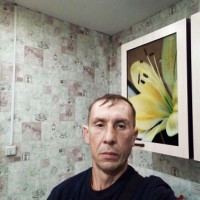 андрей черкашин, Россия, Новосибирск, 49 лет