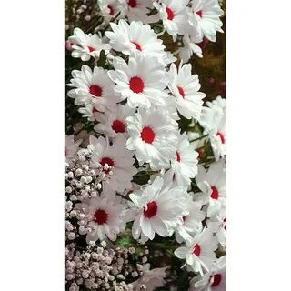 Наталья, Москва, 42 года, 1 фото. Ищу: Замужем  Анкета 540367. 