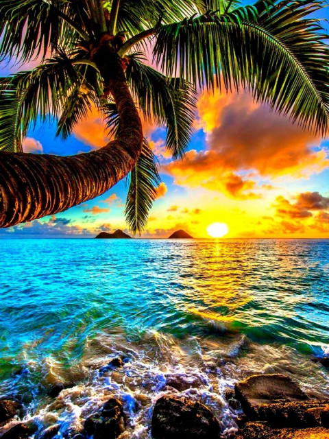 Андрей Спиридонов, Москва, м. Полежаевская. Фото на сайте ГдеПапа.Ру