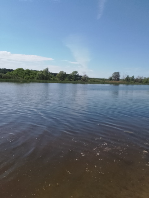 Денис, Россия, Сасово. Фото на сайте ГдеПапа.Ру