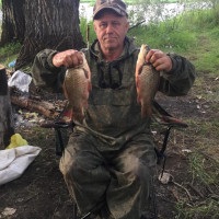 Владимир, Россия, Барнаул, 62 года