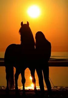 Моё желание.