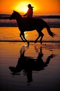 Моё желание.