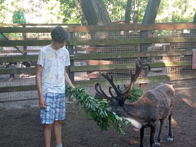 Алексей, Россия, Колпино. Фото на сайте ГдеПапа.Ру