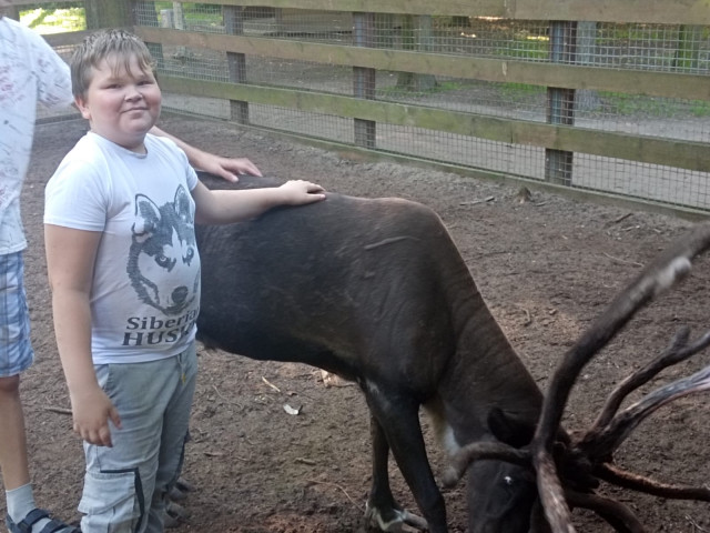 Алексей, Россия, Колпино. Фото на сайте ГдеПапа.Ру