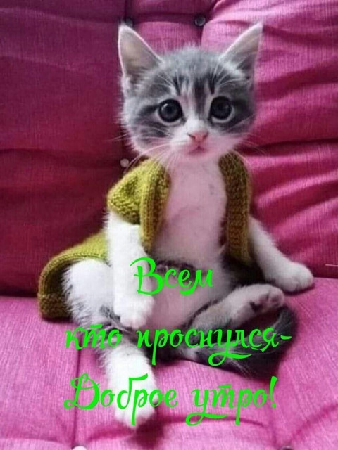 Евгений, Россия, Кемерово. Фото на сайте ГдеПапа.Ру