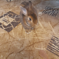 Алексей, Россия, Москва, 44 года