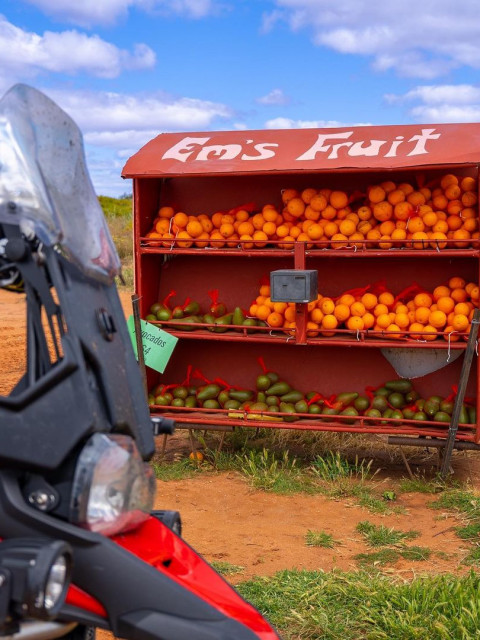 Артем, Россия, Екатеринбург. Фото на сайте ГдеПапа.Ру