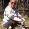 Наталья, 60, Россия, Канск