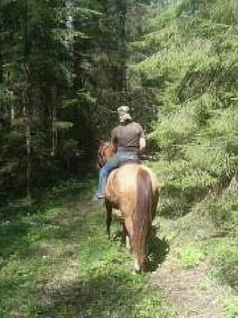 Сергей Копытов, Россия, Магнитогорск. Фото на сайте ГдеПапа.Ру