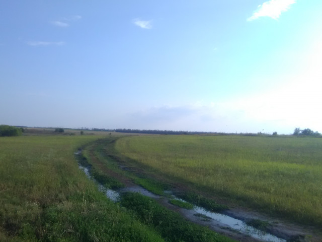 Герман Чирков, Россия, Азов. Фото на сайте ГдеПапа.Ру