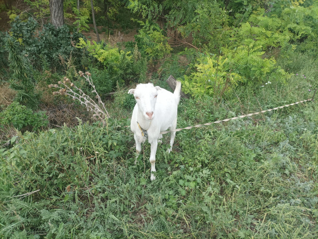 Герман Чирков, Россия, Азов. Фото на сайте ГдеПапа.Ру