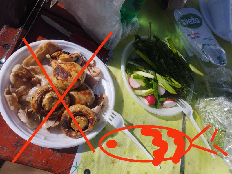 Рыбные шашлыки Борисово на Вербное, Россия, Москва, 2026-04-05